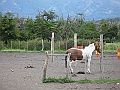 Patagonie 177